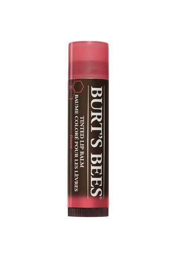 Burt's Bees Tinted Lip Balm (Various Shades) - Rose