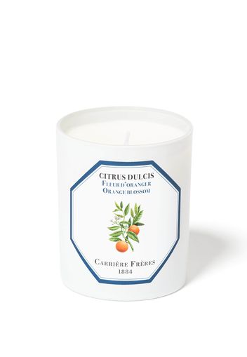 Carrière Frères Scented Candle Orange Blossom - Citrus Dulcis - 185 g