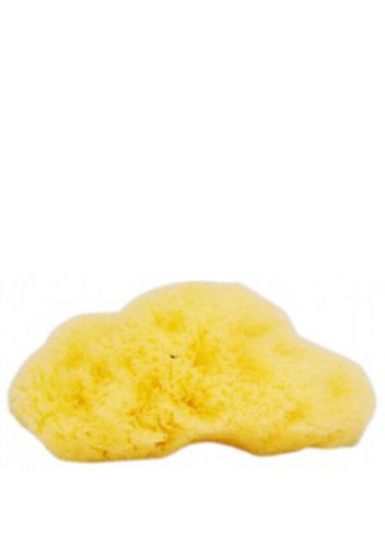 The Natural Sea Sponge Company - Fina Silk Sea Sponge (Approx 3 Inches)