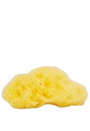 The Natural Sea Sponge Company - Fina Silk Sea Sponge (Approx 3 Inches)