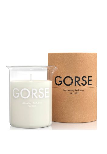 Laboratory Perfumes Gorse Candle 200g