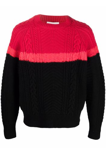 Alexander McQueen Pullover mit Zopfmuster - Schwarz