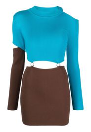 Andersson Bell cut-out two-tone dress - Blau