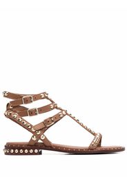 ASH Ariel rockstud-embellished sandals - Braun