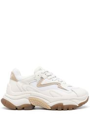 Ash Addict sneakers - Weiß