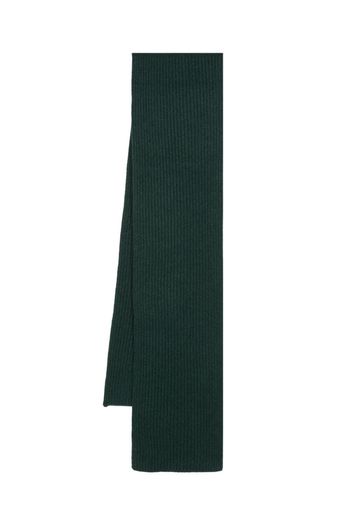 Boglioli ribbed-knit cashmere scarf - Grün
