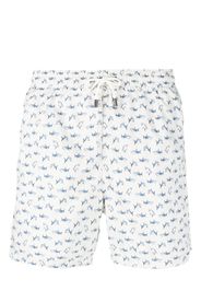 Canali Badeshorts mit Hai-Print - Nude