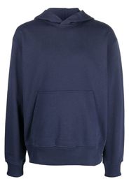 Diesel S-MACS-MEGOVAL Hoodie - Blau