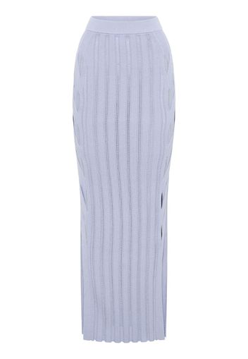 Dion Lee Snakeskin knitted long skirt - Grau