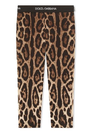 Dolce & Gabbana Kids Leggings mit Leoparden-Print - Braun
