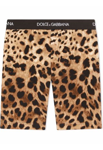 Dolce & Gabbana Kids Radlerhose mit Leoparden-Print - Braun