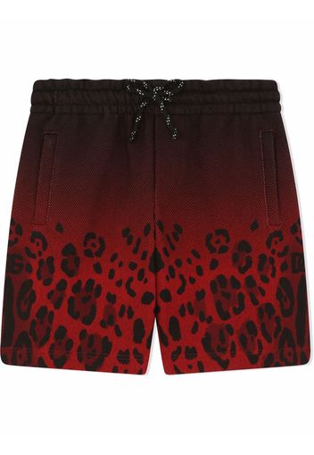 Dolce & Gabbana Kids Shorts mit Leoparden-Print - Schwarz