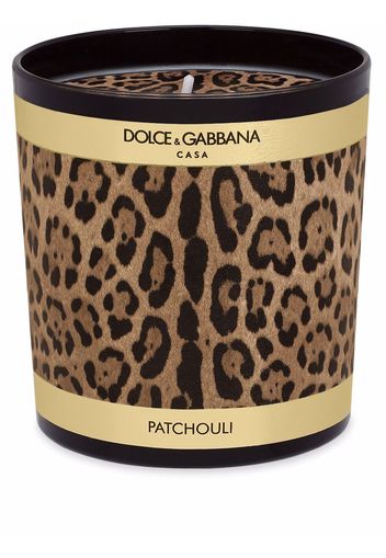 Dolce & Gabbana Kerze mit Leoparden-Print - Schwarz