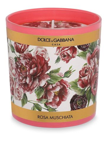 Dolce & Gabbana floral-print scented candle (250g) - Rosa