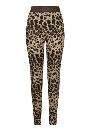 Dolce & Gabbana Leggings mit Logo-Bund - Nude