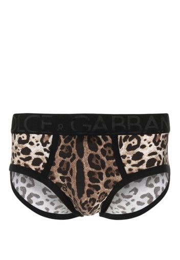 Dolce & Gabbana leopard-print boxers - Braun