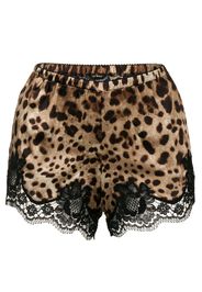 Dolce & Gabbana Pyjama-Shorts mit Leoparden-Print - Braun