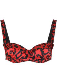 Dolce & Gabbana leopard-print balconette bra - Rot