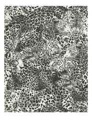 Dolce & Gabbana leopard-print wallpaper - Schwarz