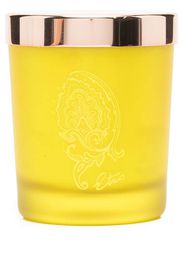 ETRO HOME Dafne scented candle - Gelb