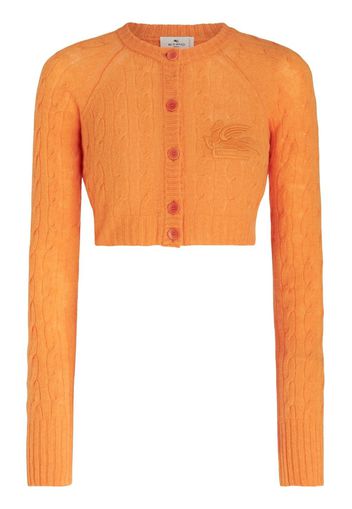 ETRO Cardigan mit Zopfmuster - Orange