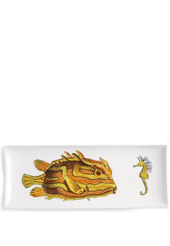 Fornasetti fish-print glazed tray - Weiß