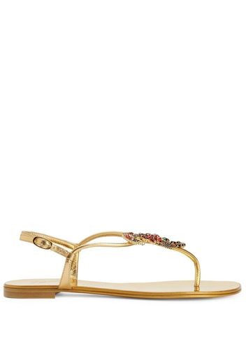 Giuseppe Zanotti Tropical Beach flat sandals - Gold