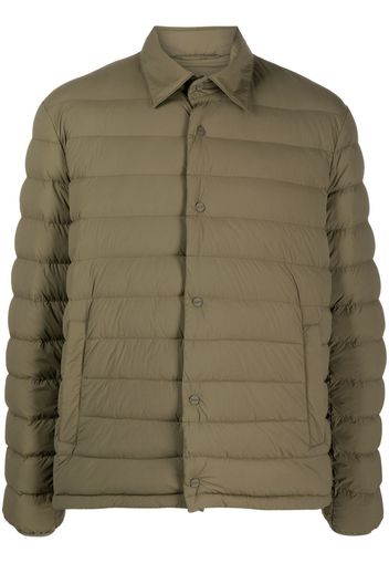 Herno padded button-up jacket - Grün