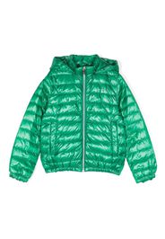 Herno Kids Gefütterte Kapuzenjacke - Grün
