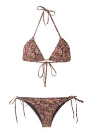Isolda 'Borakay' Bikini - Braun