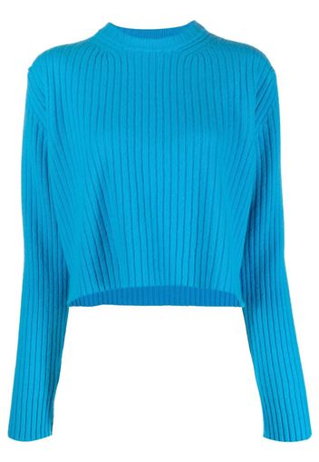 Laneus ribbed-knit jumper - Blau