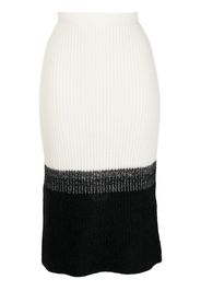 Lorena Antoniazzi colour-block knitted pencil skirt - Weiß