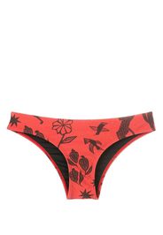 Lygia & Nanny Waikiki graphic-print bikini bottoms - Braun