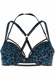 Marlies Dekkers The Art Of Love Push-up-BH - Schwarz