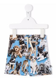 Molo all-over dog-print shorts - Blau