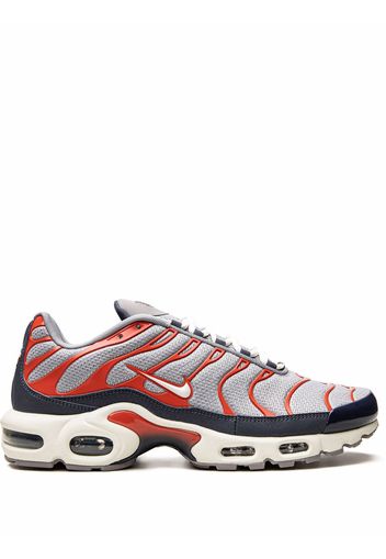 Nike Air Max Plus sneakers - Grau