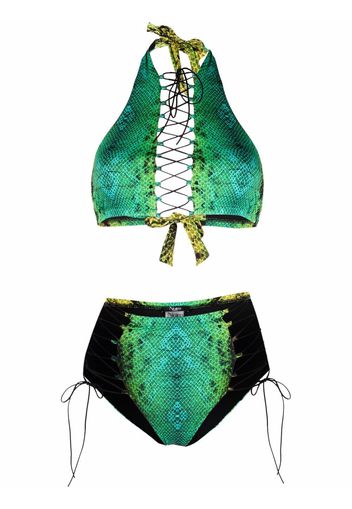 Noire Swimwear Bikini mit Schlangenleder-Print - Grün