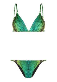 Noire Swimwear 'Snake Tanning' Bikini - Grün