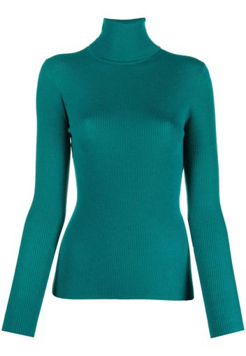 P.A.R.O.S.H. ribbed-knit roll-neck jumper - Grün