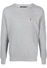 Polo Ralph Lauren Polo Pony cotton sweatshirt - Grau