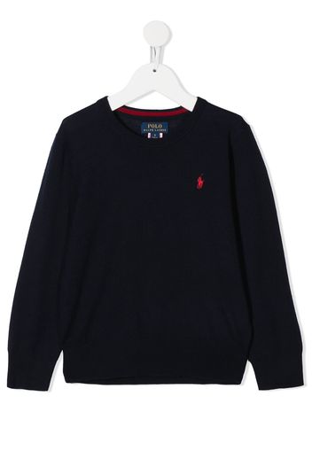 Ralph Lauren Kids Pullover mit Rundhalsausschnitt - Blau