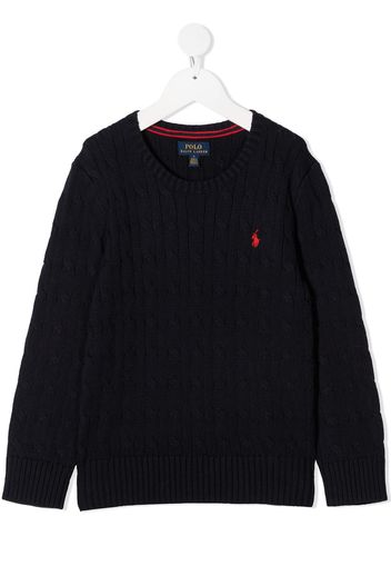 Ralph Lauren Kids Pullover mit Logo-Stickerei - Blau