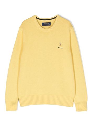 Ralph Lauren Kids embroidered-logo crewneck jumper - Gelb