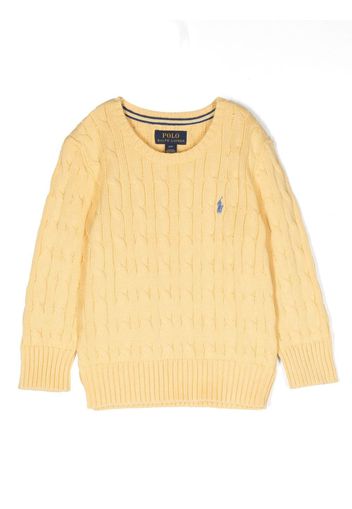 Ralph Lauren Kids logo-embroidered cable-knit jumper - Gelb