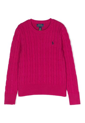 Ralph Lauren Kids Polo Pony crew-neck jumper - Rosa