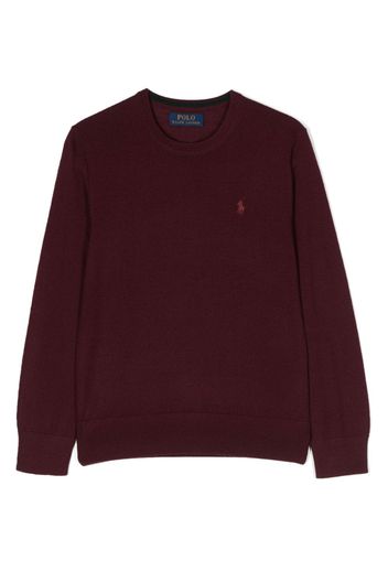 Ralph Lauren Kids Pullover mit Polo Pony - Rot