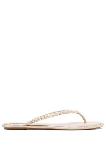 René Caovilla crystal thong-strap sandals - Gold