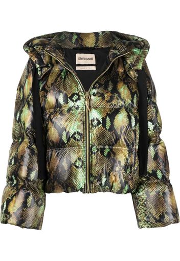 Roberto Cavalli Jacke mit Schlangenleder-Print - Grün