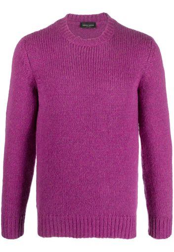 Roberto Collina crew-neck knitted jumper - Violett