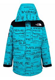 Supreme x The North Face Coldworks 700-fill fown parka - Blau